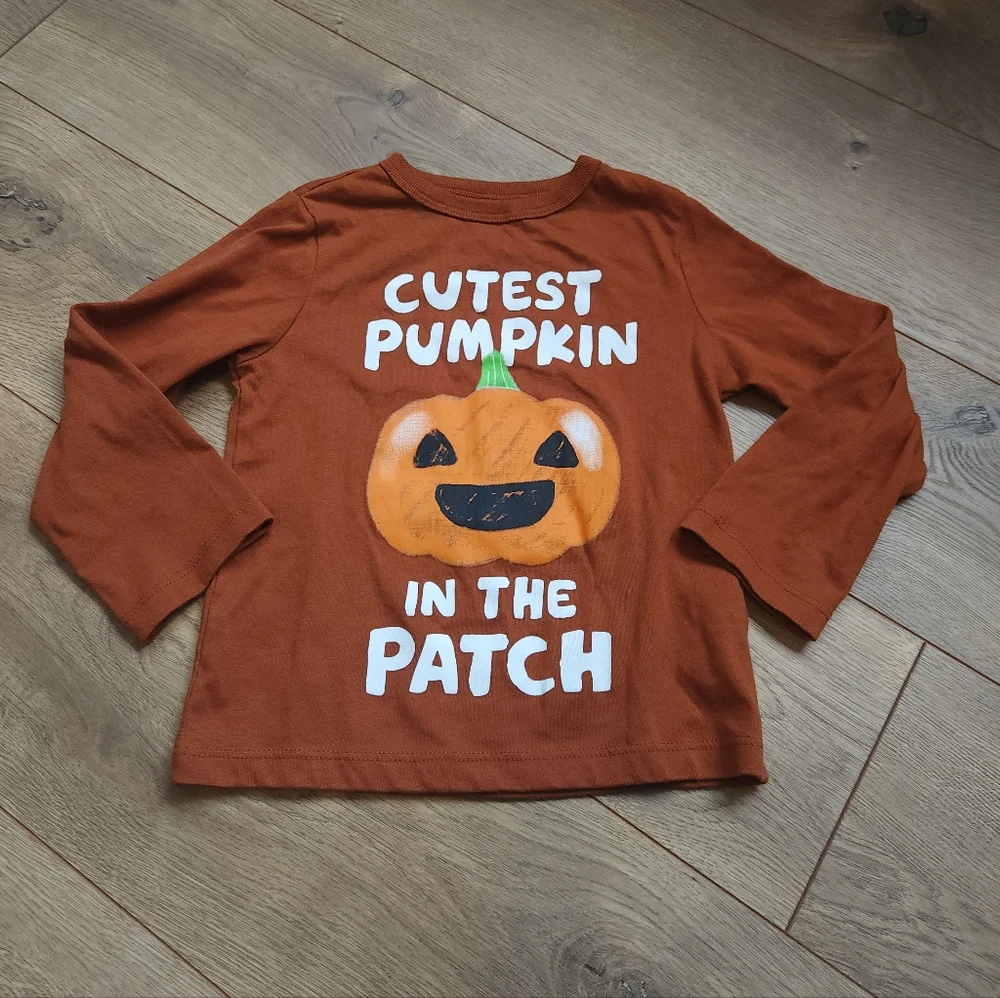2t Pumpkin Patch Long Sleeve Shirt